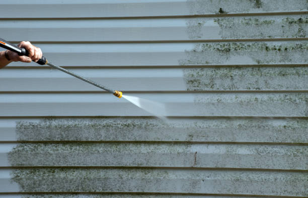 Best Vinyl Siding Pressure Washing in Pirtleville, AZ